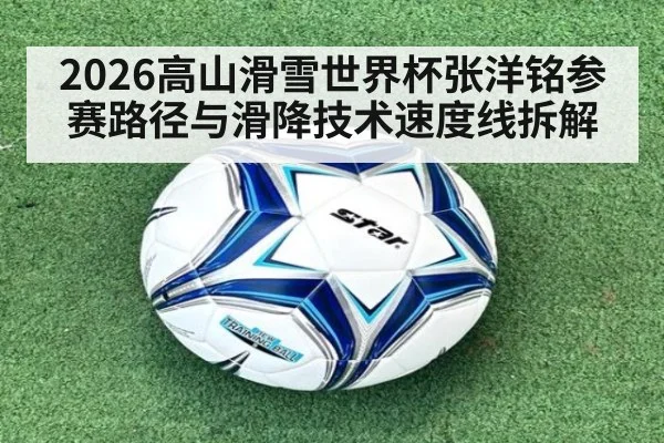 2026高山滑雪世界杯张洋铭参赛路径与滑降技术速度线拆解
